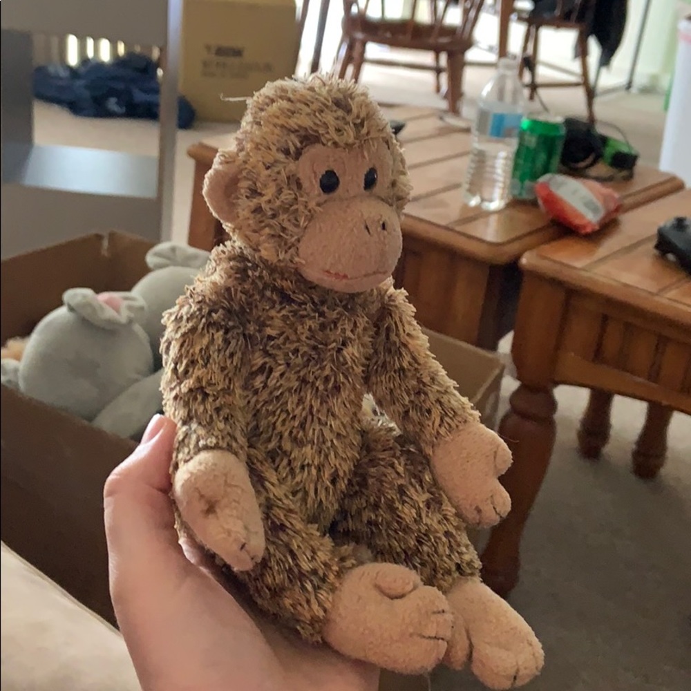 Bonsai - Picture 2 of 6